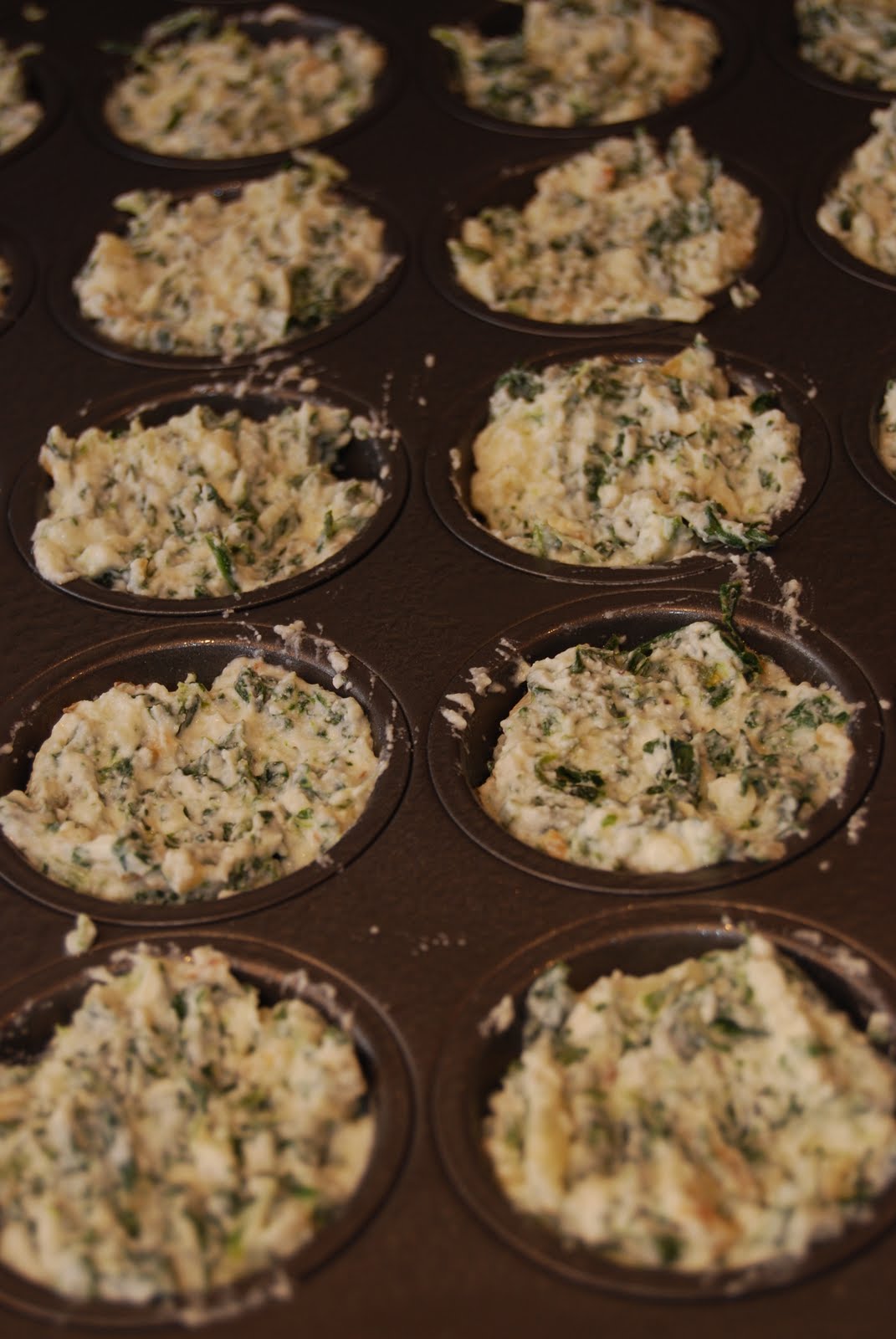Hungry Hungry Jacob Spinach Ricotta Bites