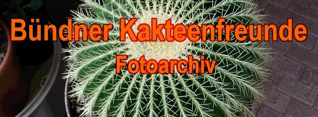 kaktus-gr-events Fotoarchiv Events