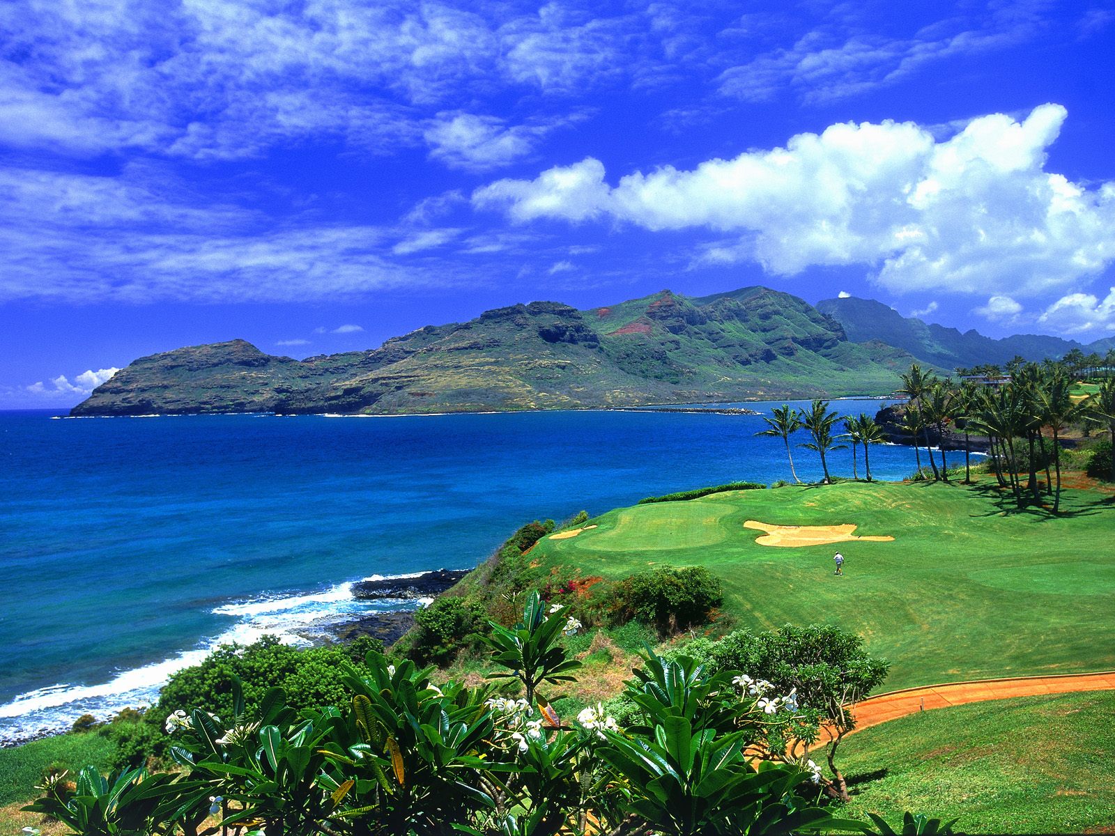 http://4.bp.blogspot.com/_a-M7RfV7AU8/TU0UtftzyqI/AAAAAAAAHLk/vM1XNpYKyP0/s1600/Golf%2BHawaii.jpg