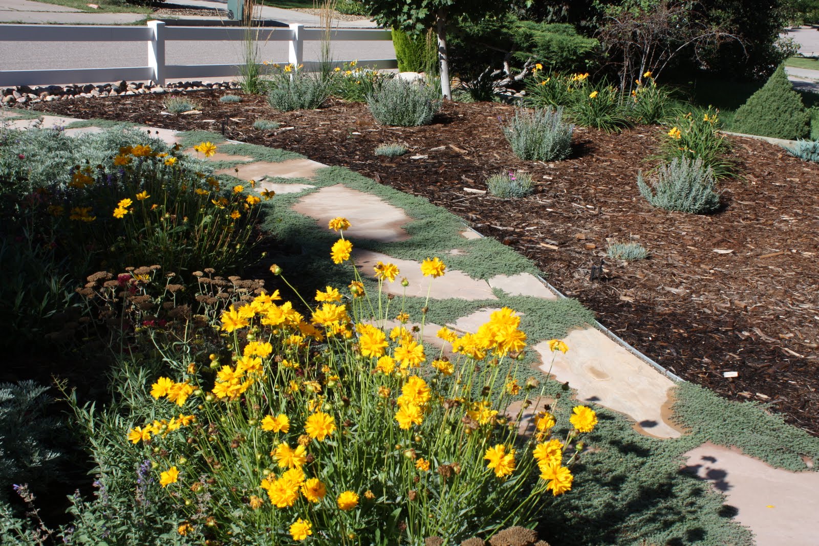 Can You Say Xeriscape?
