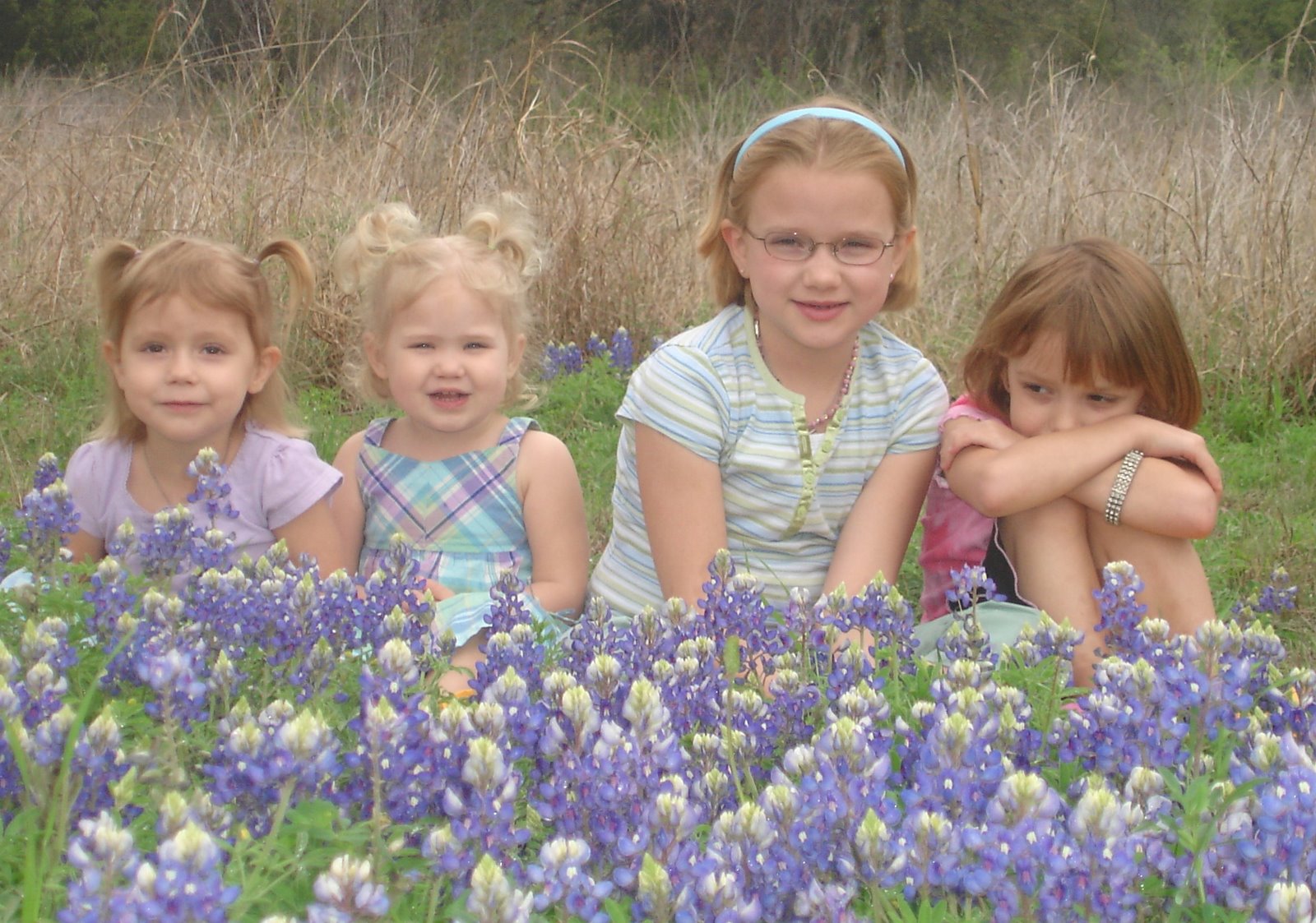 [bluebonnet+002.jpg]