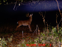 Great 3.5 year old buck