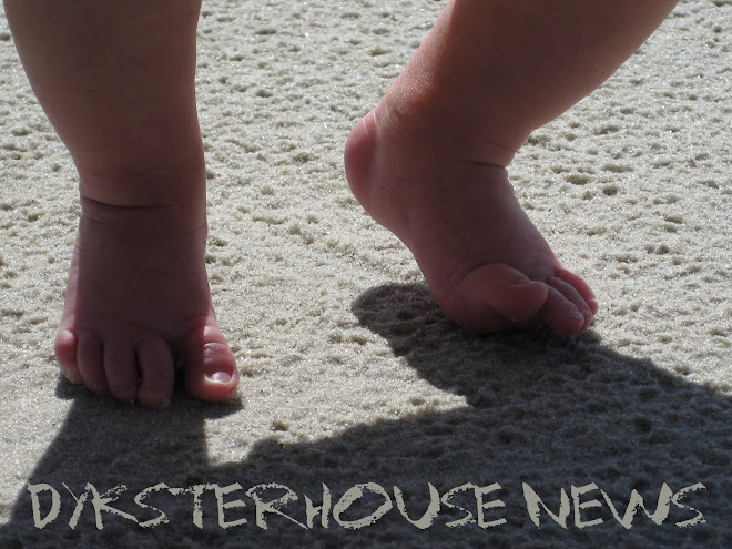 DYKSTERHOUSE NEWS