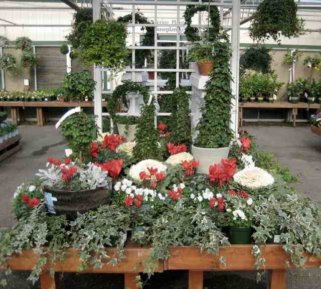 Daily Classic Favorite Christmas Decoration Ideas