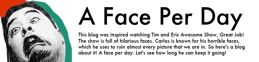 A Face Per Day