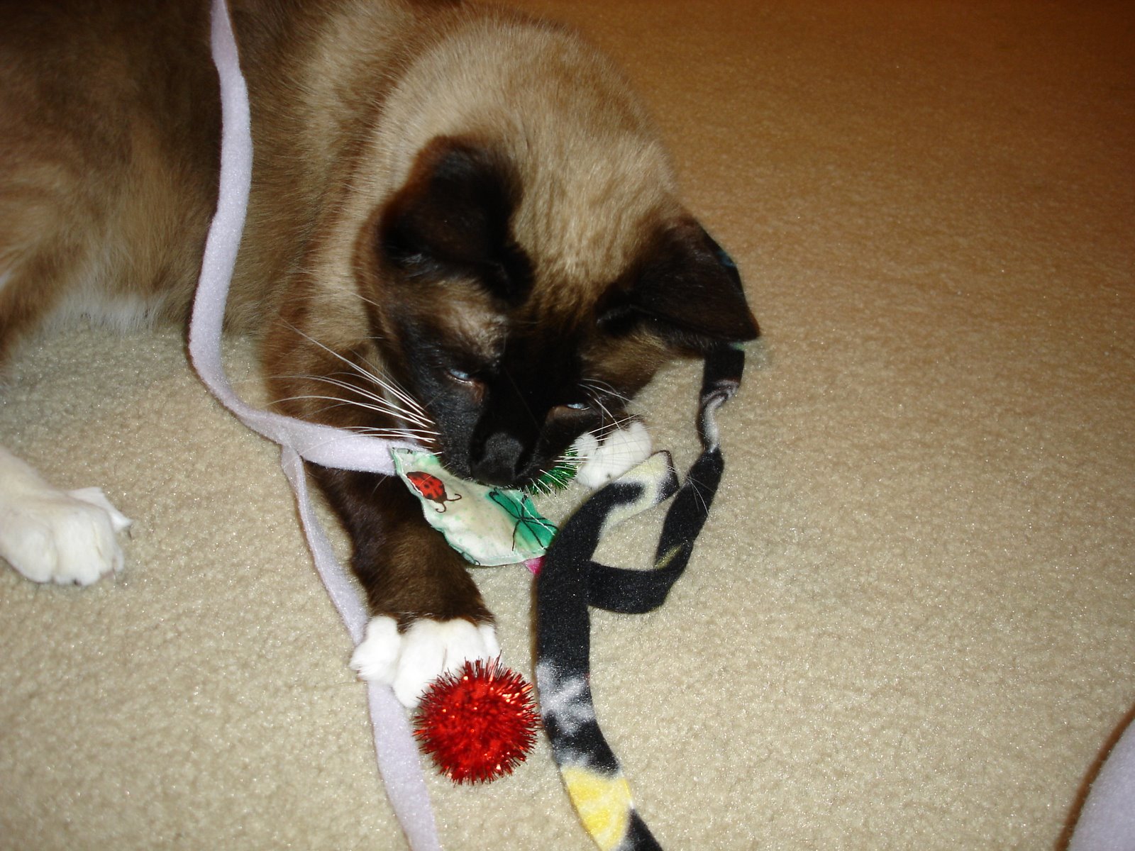 [Reena+playing+with+toys.JPG]