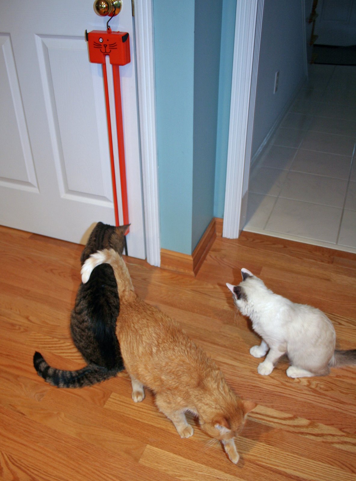 [Violet+Newman+and+Calvin+with+Flingamastring.jpg]