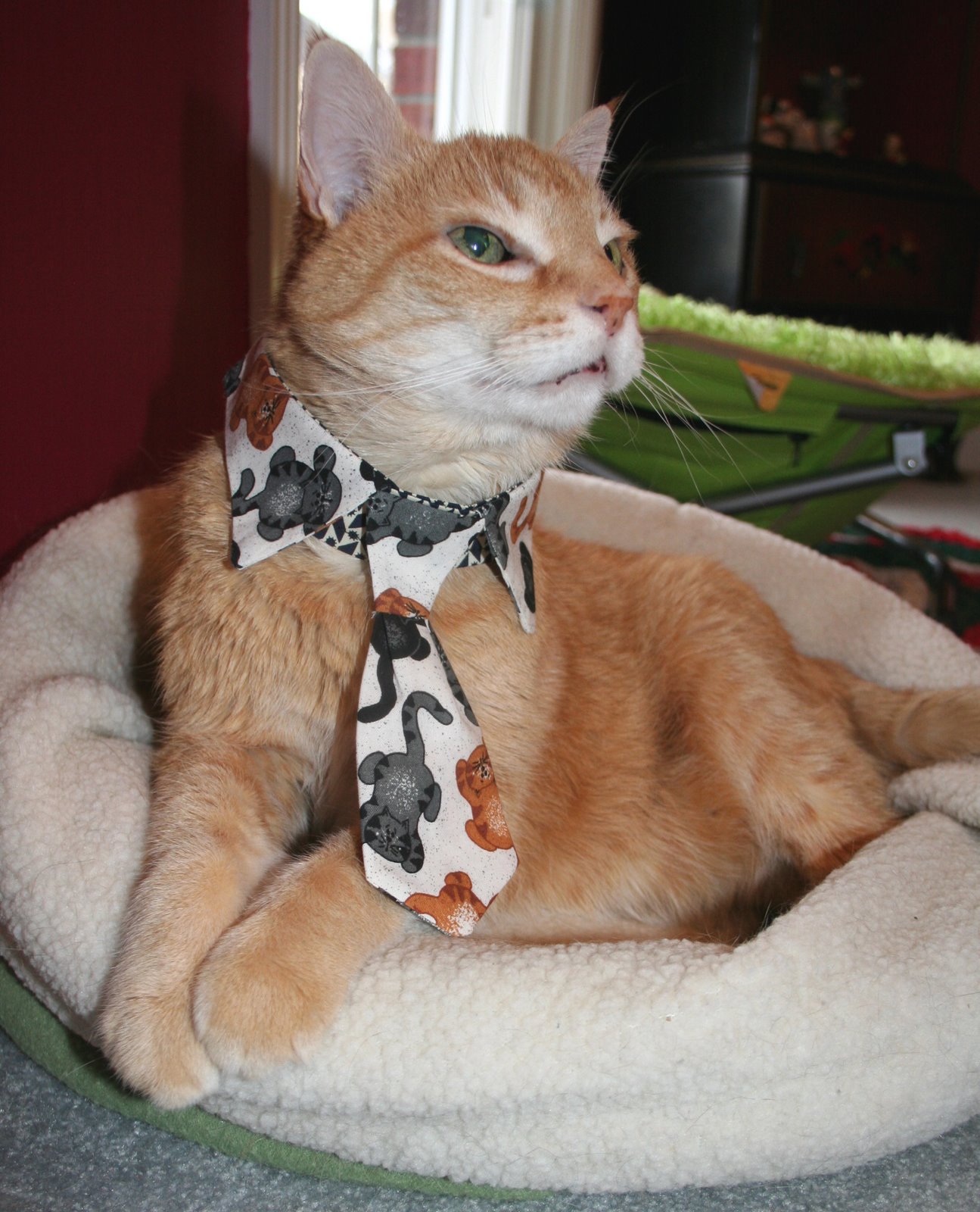 [Calvin+modeling+collar+and+tie+2.jpg]