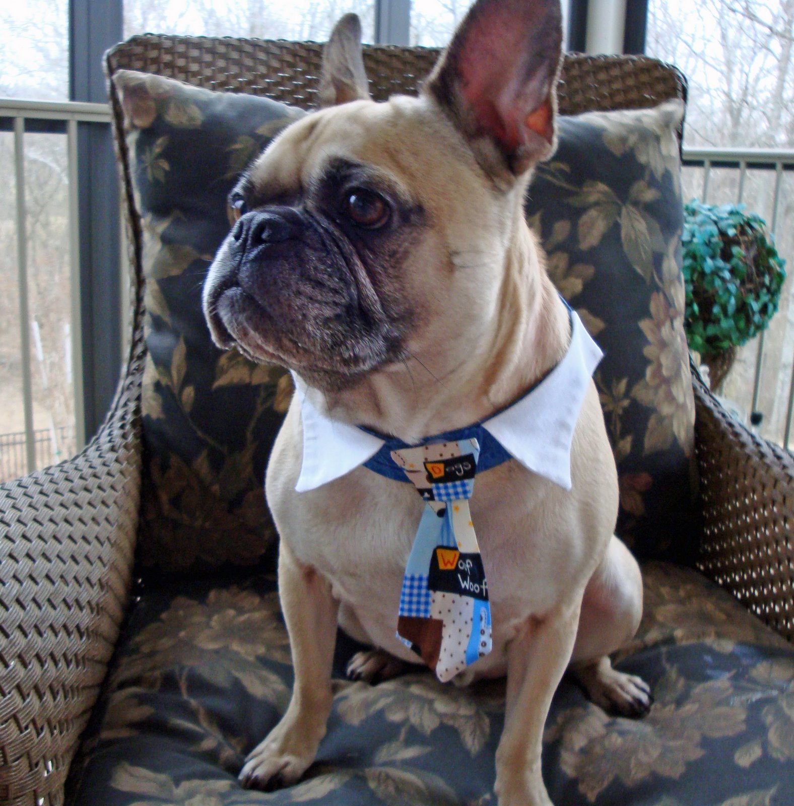 [Budder+with+tie+2.jpg]
