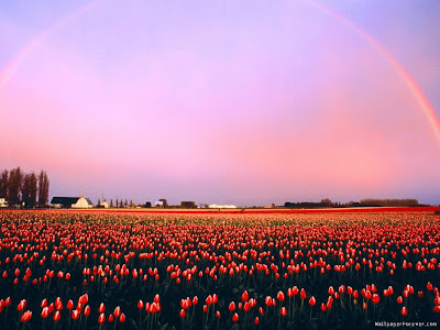 Rainbow wallpapers rainbow wallpapers. Rainbow wallpapers