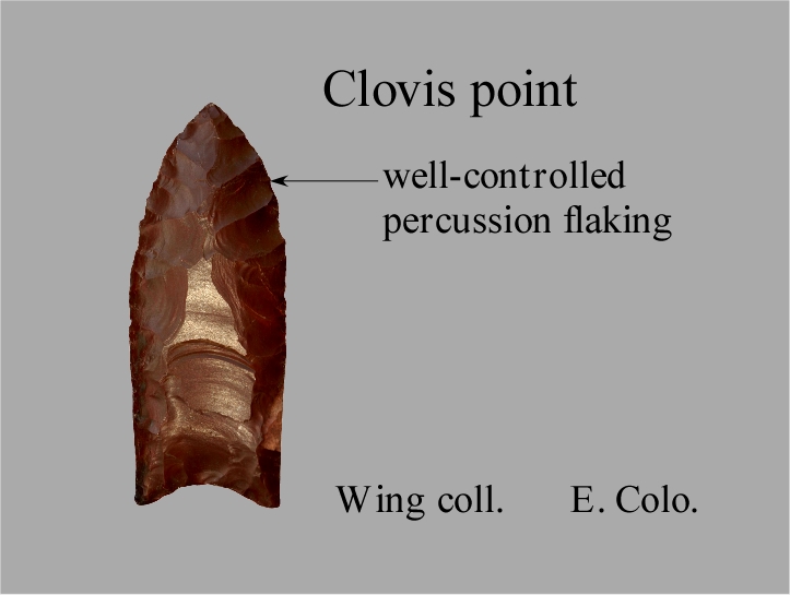 accuracy of carbon dating. Clovis represents the earliest known culture in the Americas, dating back 