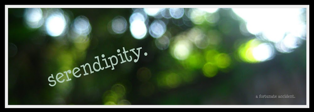 serendipity