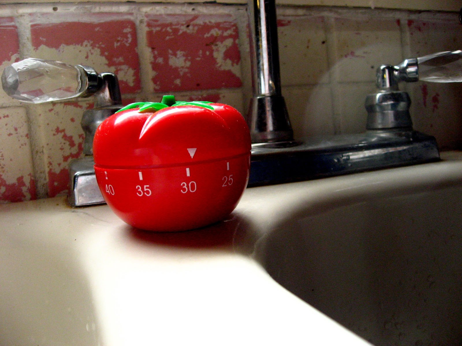[IMG_5833.JPG]