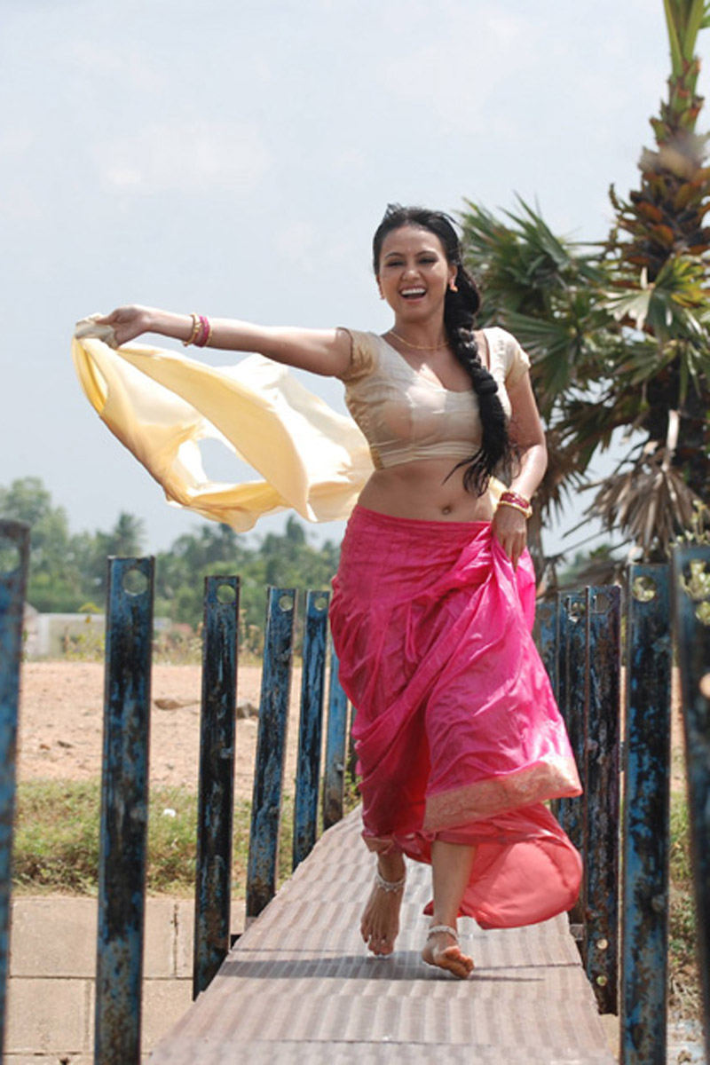 sana khan hot saree photo images sana khan latest hot exposing spicy saree stills