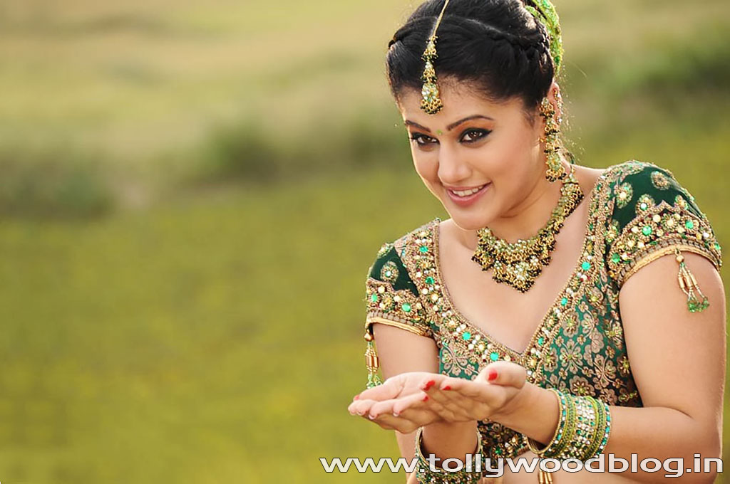 Tapsee Widescreen Wallpapers