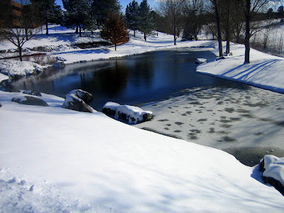 Pack Of Winter Crazed Madisonians Seek >> Bob S Blog 2008 Pack Of Winter Crazed Madisonians Seek >> Bob S Blog 2008