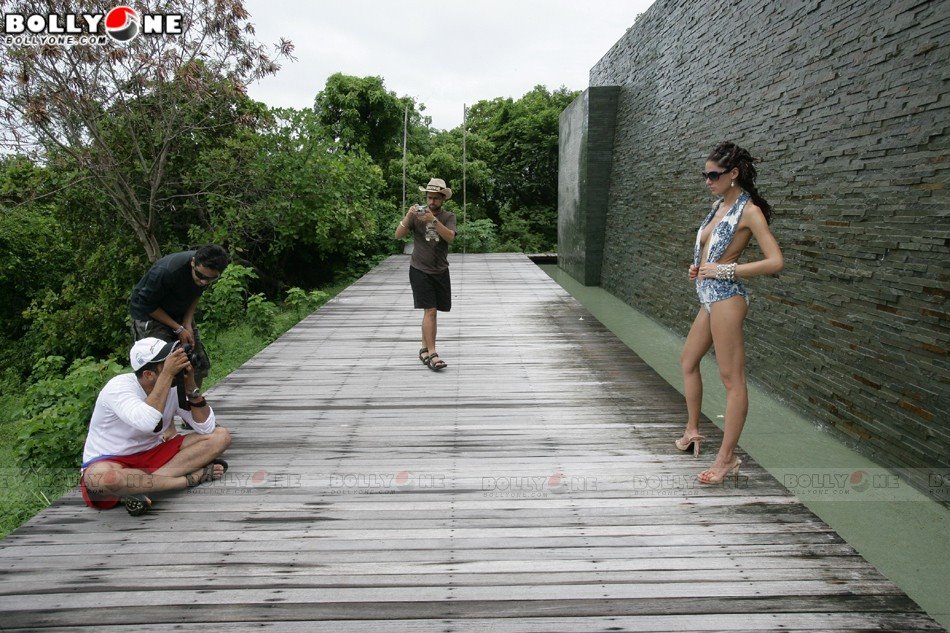 [kingfisher_2009_calendar_3.jpg]