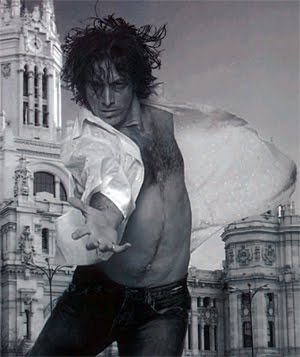 [flamenco-porcel.jpg]