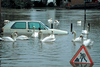 DEFINICION INUNDACIONES definicion inundaciones: