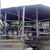 Ternakan Lembu