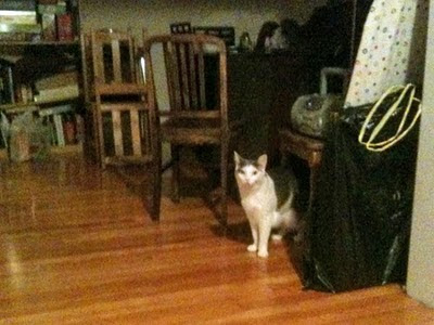Ophelia briefly says hello. Ophelia briefly says hello.