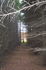 The Place where Imagination Lives