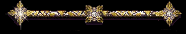[barBrilla6[1].gif]