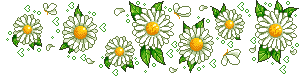[botonflorpk7[1].gif]