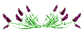 [i247631032_41790_7.gif]