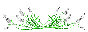 [i247631072_65659_7.gif]