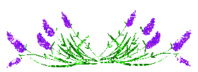 [i247631068_89499_7.gif]