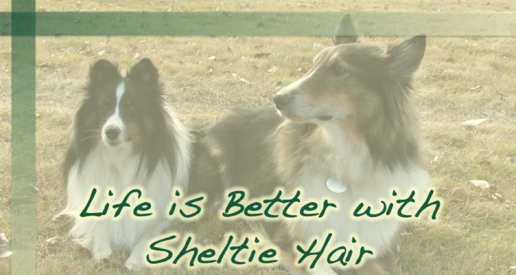 Life is Better with Sheltie Hair