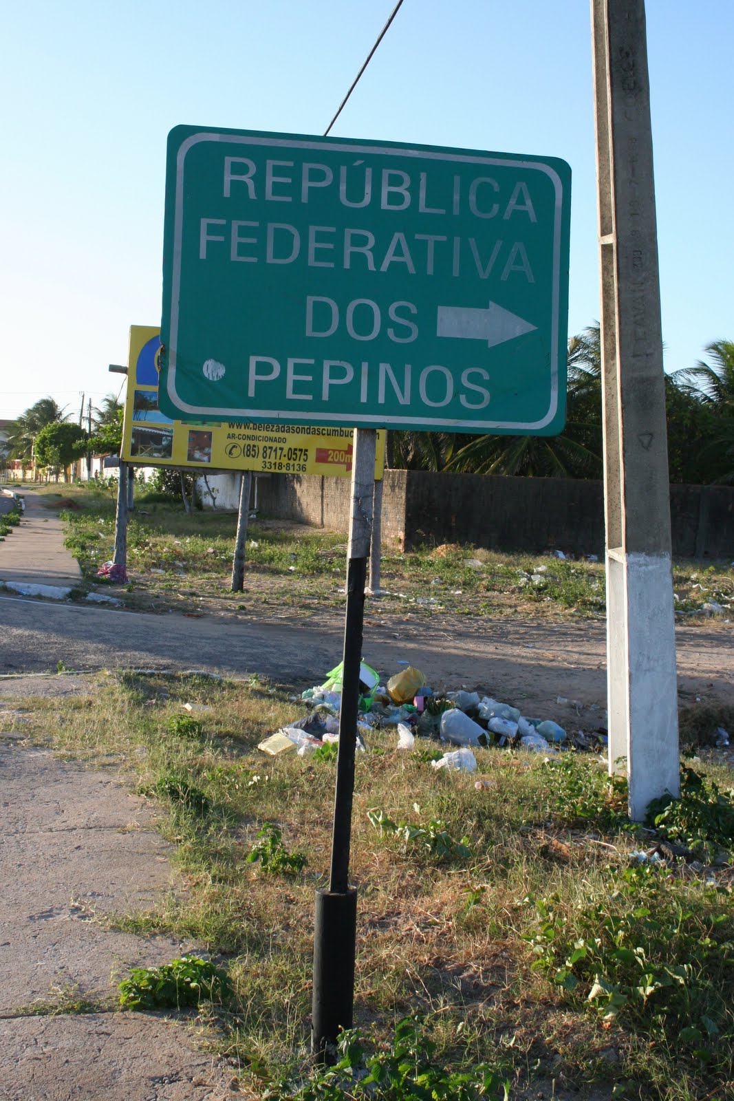 [pepino.bmp]