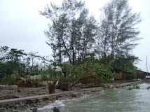 Cyclone Giri 3