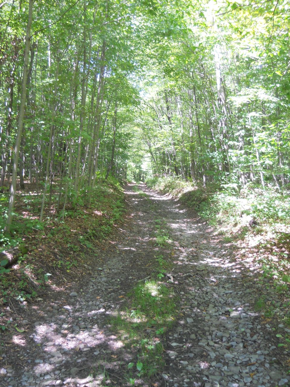 Starrucca PA Typical Starrucca Highway