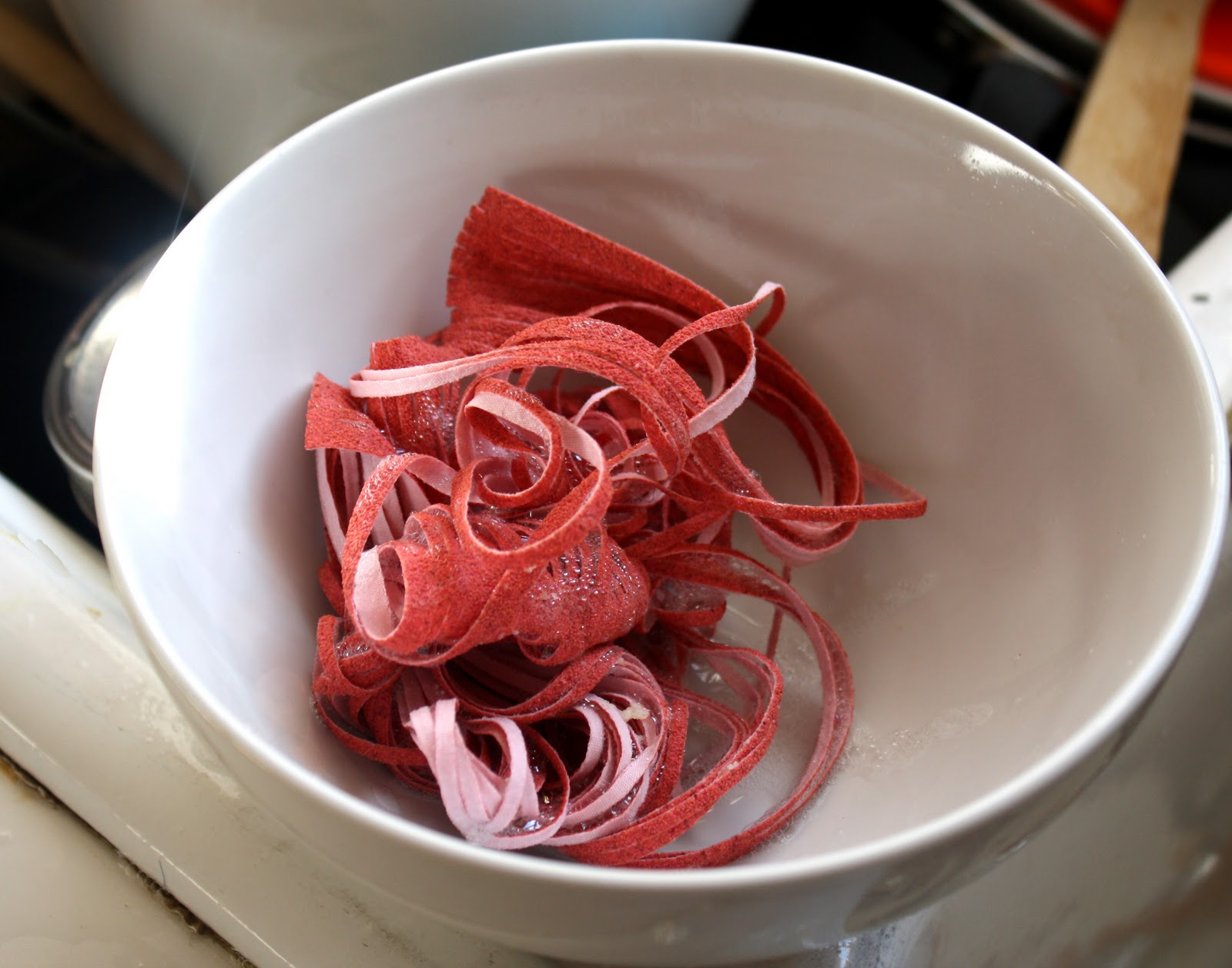 The Parsimonious Princess The Dirty Truth Get Rid of Your Kitchen Sponge