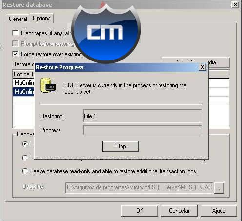 Configurar SQL Server13