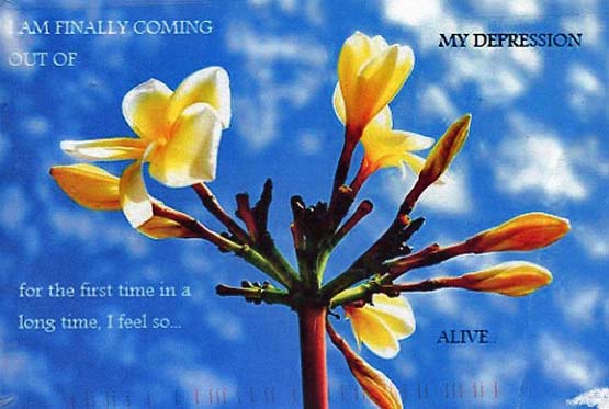 [spring.jpg]