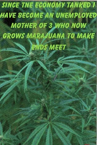 [weeds.jpg]