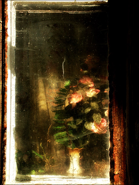 [flores+de+dezembro.jpg]