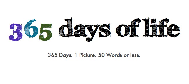 365 Days of Life