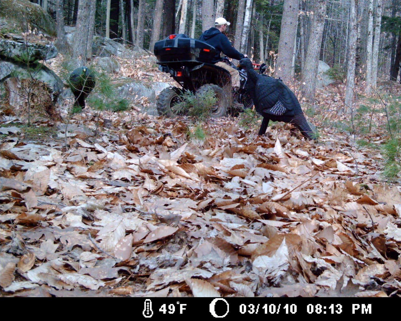 The Maine Outdoorsman April 2010