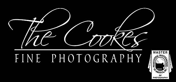 The Cookes Fine Photography Weddings
