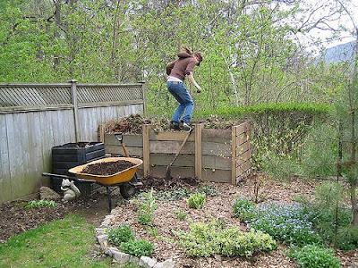 Compost Pile
