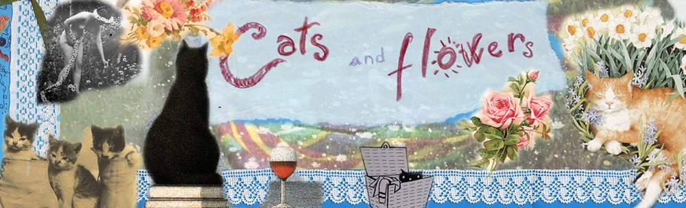cats and flowers
