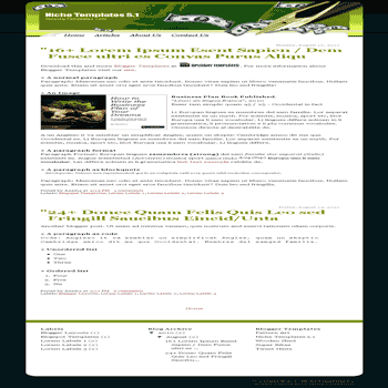 Niche Templates s.1 free blogger template with 1 column template and 3 column footer blogger template