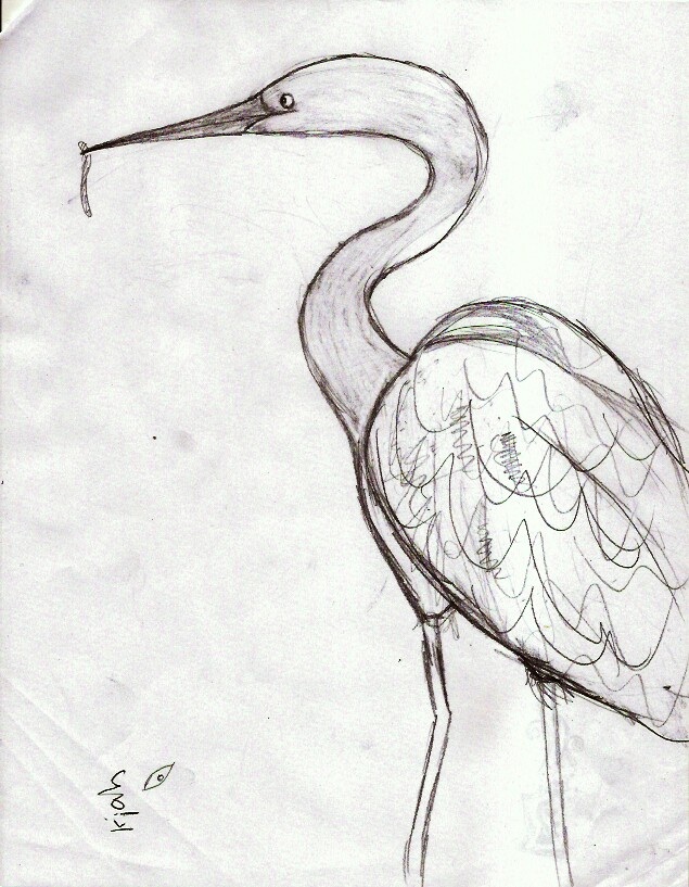 Contour Line Drawing Of Natural Forms : Natural bridges sketchers weeks proportions contour