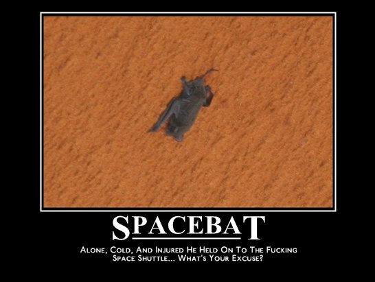 [sb_motivational.jpg]