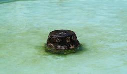 [Jorge_Fernandez--253x147.jpg]