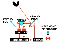 [Comparacion+contrastes.gif]